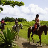 Horseback Riding