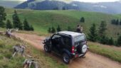 A fantastic experience in the Csíki mountains