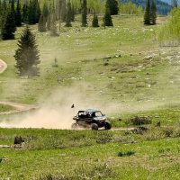Adrenaline & Extreme