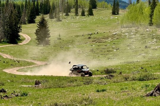 New Year’s Day long weekend in Park City