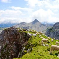 Multi-day & Extended Tours