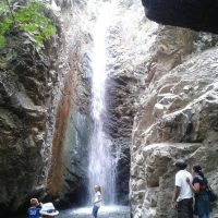 Half-day Tours