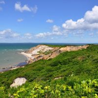 Bus & Minivan Tours