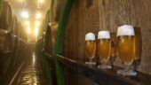 Brewery Tour and City Tour