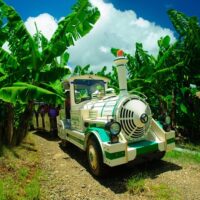 Luxury Tours