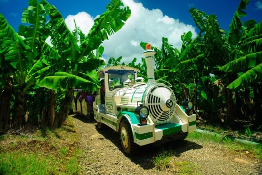 Easter in Martinique