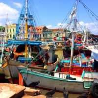 Multi-day & Extended Tours