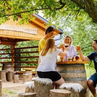 Beer & Brewery Tours
