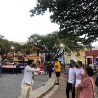 Cultural & Theme Tours