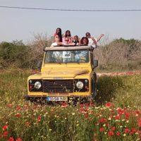 Cultural & Theme Tours