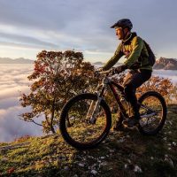 Bike Rentals