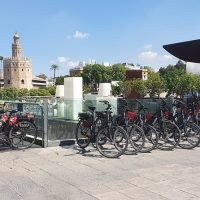 Bike Rentals
