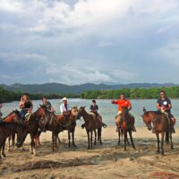 Full-day Tours