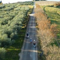 Vespa, Scooter & Moped Tours