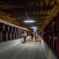 Multi-day & Extended Tours