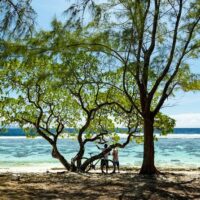 Historical & Heritage Tours