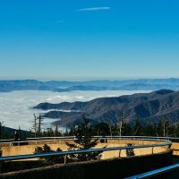 Private & Custom Tours