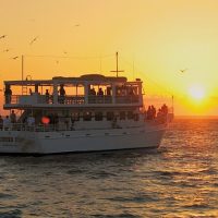 Glass Bottom Boat Tours