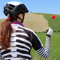 Self-guided Tours & Rentals