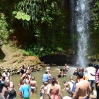 Plantation Tours