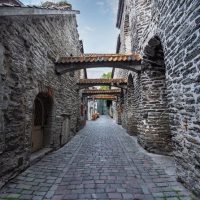 Cultural & Theme Tours