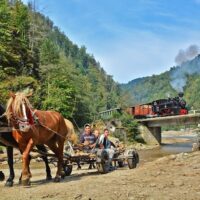 Rail Tours