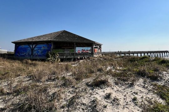 MLK Day in Tybee Island