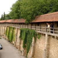 Luxury Tours