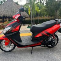 Scooter Rentals