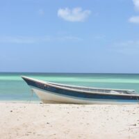 Cruises, Sailing & Water Tours