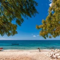 Multi-day & Extended Tours
