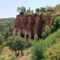 Cultural Tours