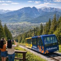 Trolley Tours