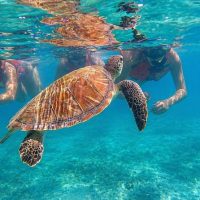 Sailing Trips