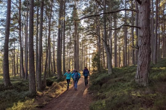 Valentine's Day in Aviemore