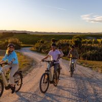 Full-day Tours