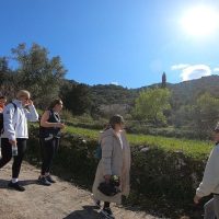 Luxury Tours