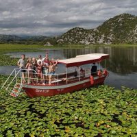 Half-day Tours