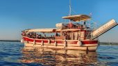 Dolphin Boat Tour