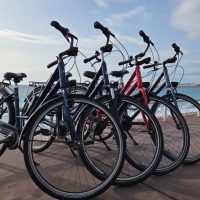 Self-guided Tours & Rentals