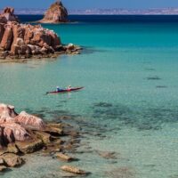 Bus & Minivan Tours