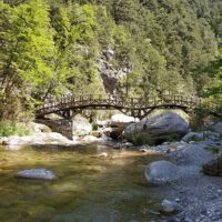 Bus & Minivan Tours
