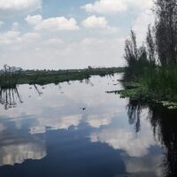 Holiday & Seasonal Tours