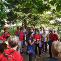 Cultural Tours