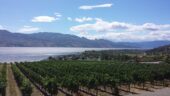Bachelorette wine tour