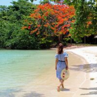 Walking & Biking Tours
