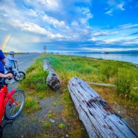 Tours & Sightseeing
