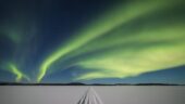 Amazing Aurora Hunt