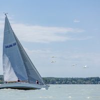 Cruises, Sailing & Water Tours