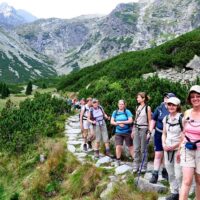 Luxury Tours